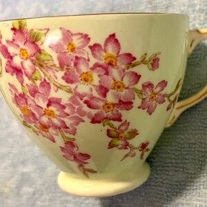 Bone China Cup